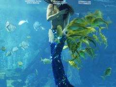 -太平洋海底世界