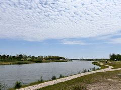 -春花秋色城市公园