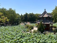-莲池书院博物馆