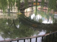 -老牌坊鲁菜名店(宽厚里店)