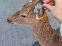 -养云安缦·廊