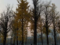 -两江幸福广场
