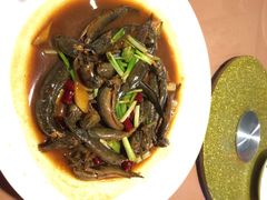 宁海食府(北岸琴森店)-宁海食府(大剧院店)