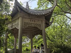 -上海佘山国家森林公园西佘山园