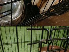 -猫猫幼稚园·撸猫·桌游·电玩