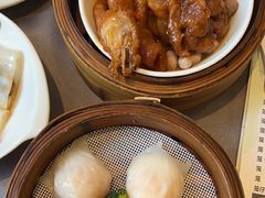 -东方御宴海鲜酒楼(棕泉酒店)