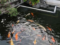 -惠州西湖风景名胜区-丰渚园