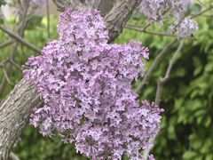 -北京华德眼科医院