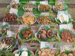 -佳缘野生菌食府