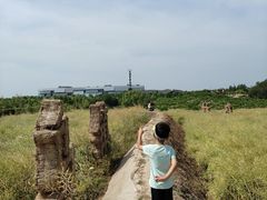 -乌村