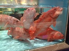 -阿伟海鲜楼·福建菜(延寿店)