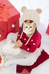 -DORA kids 朵拉儿童摄影花园店