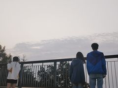 -紫金山山顶公园