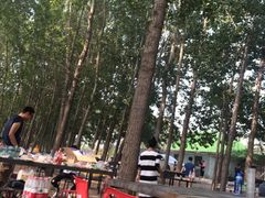-顺鑫绿色度假村