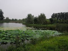 -东郊湿地公园