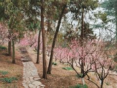 -九华山公园