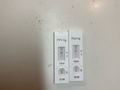 -御宝贝·A梦猫科宠物医院(国际猫友好医院)