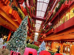-佬肥猫·浙江乡村菜(国华广场店)