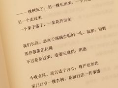 -二酉书店TOYOU BOOKS