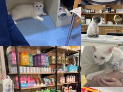 -佑安动物医院·全科·内窥镜中心(幸福巷店)