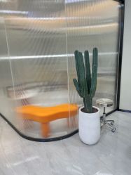 -YESIDO BLACK椰岛造型