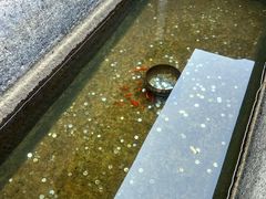 -蔡元培故居