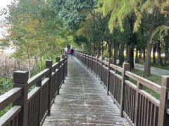 -东湖落雁景区
