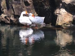 -兰亭风景区
