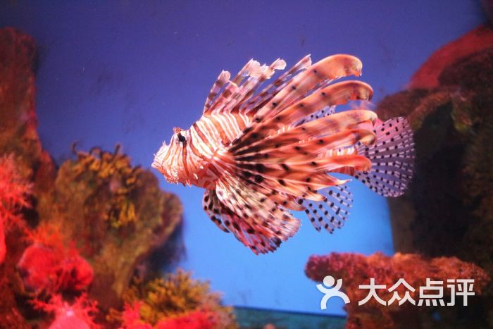 泉城海洋极地世界-图片-齐河县周边游-大众点评网