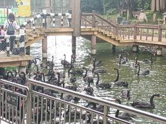 -深圳野生动物园