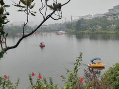 -枫香湖儿童公园