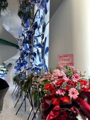 -黛莱皙护肤美妆
