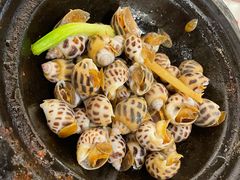 黄油焗花螺-恭喜上堓砂锅焗·海鲜大排档(闵行龙湖店)