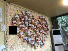 -柴犬高等学院·狗咖·柴犬售卖·宠物训练