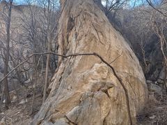 -大岭沟猕猴桃谷风景区