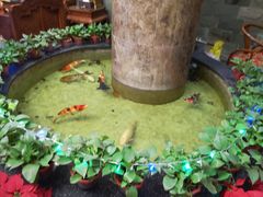 -古莲·影院足道·按摩SPA(水上温泉店)