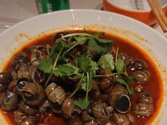 -杨氏青龙虾·羊蝎子(托乐嘉店)