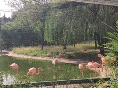 -石家庄市动物园