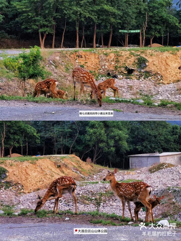 大连丘陵地带图片