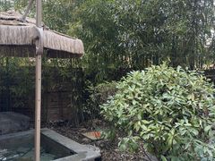 -麦积山温泉