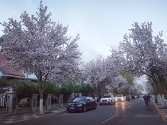 -天津五大道文化旅游区