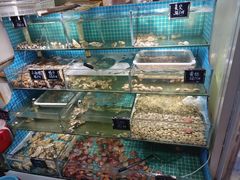 -北戴河庆山饭店·海鲜砂锅粥(北戴河黑石路店)
