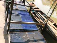 -水岸居湖景农家乐·阳澄湖大闸蟹