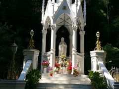 -上海佘山国家森林公园西佘山园