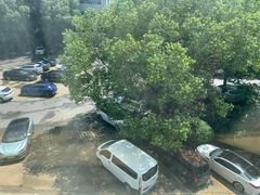 -上海交通大学医学院苏州九龙医院