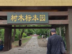 -黑龙江省森林植物园