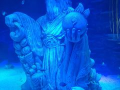 -沈阳海洋探索中心