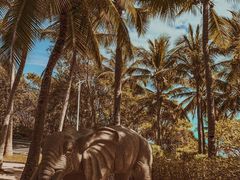 -三亚南山文化旅游区