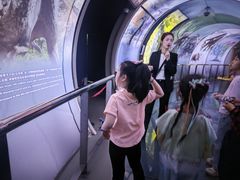 -房山世界地质公园博物馆