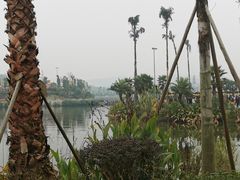 -枫香湖儿童公园